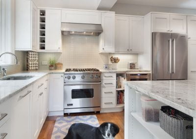 Modern kitchen with white cabinets, stainless steel appliances, and a black and white dog standing on a blue patterned rug over sleek marble flooring.